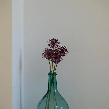 아파트 'sophie's Villa'