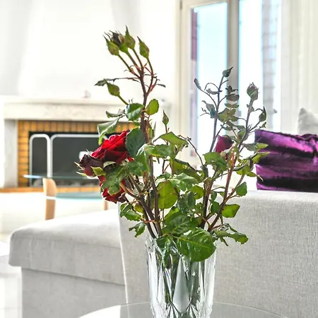 公寓 'sophie's Villa' 阿克罗蒂里