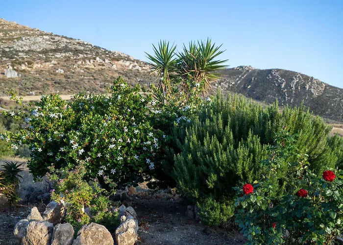 'sophie's Villa' Apartamento *